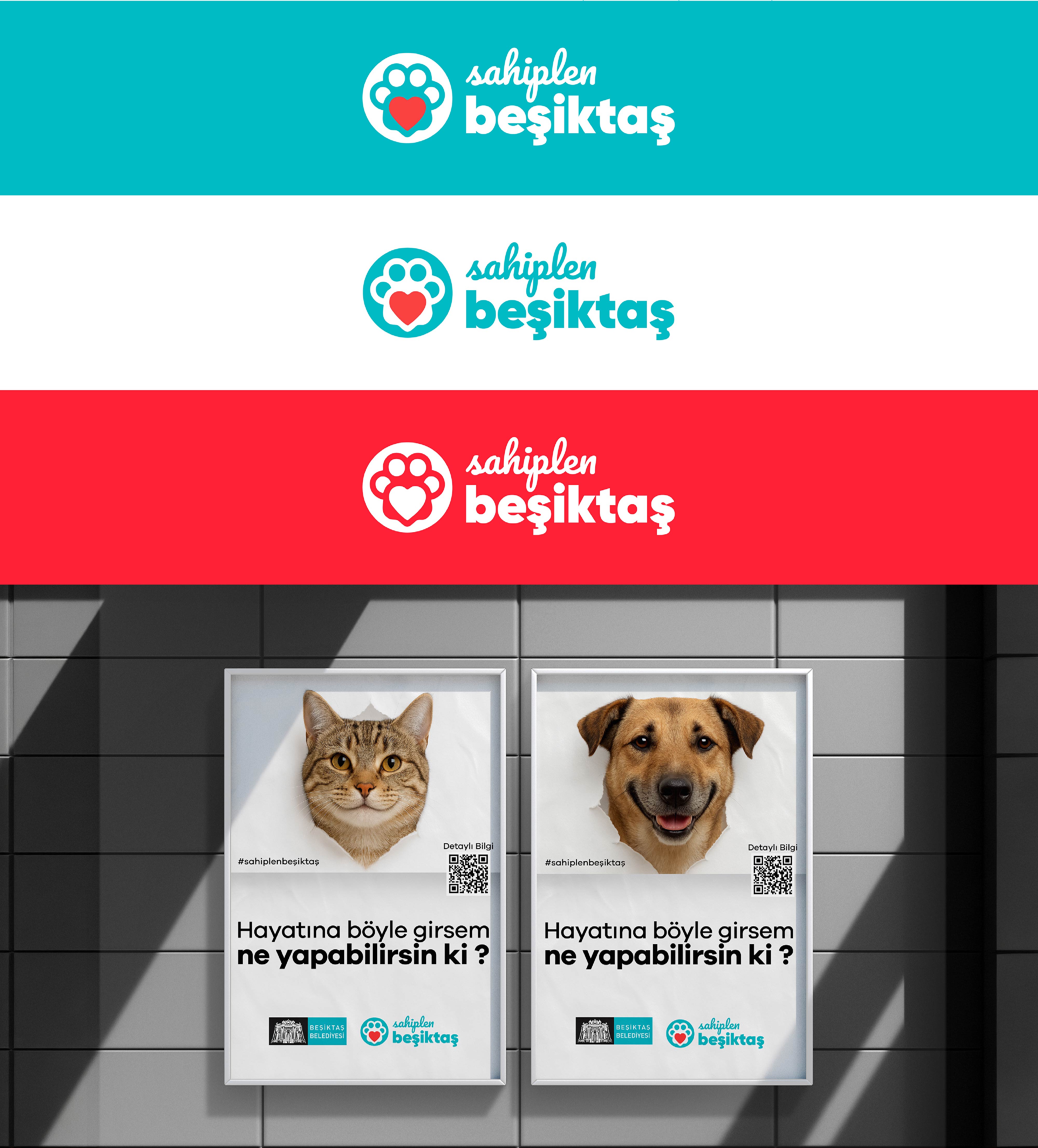 Sahiplen Beşiktaş - 3